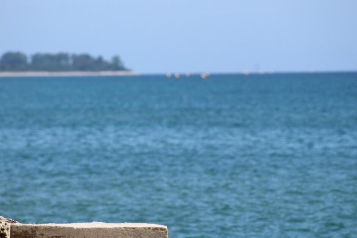 Bord de mer, pieds dans l'eau, vue panoramique Villa San-Nicolao Ngoại thất bức ảnh