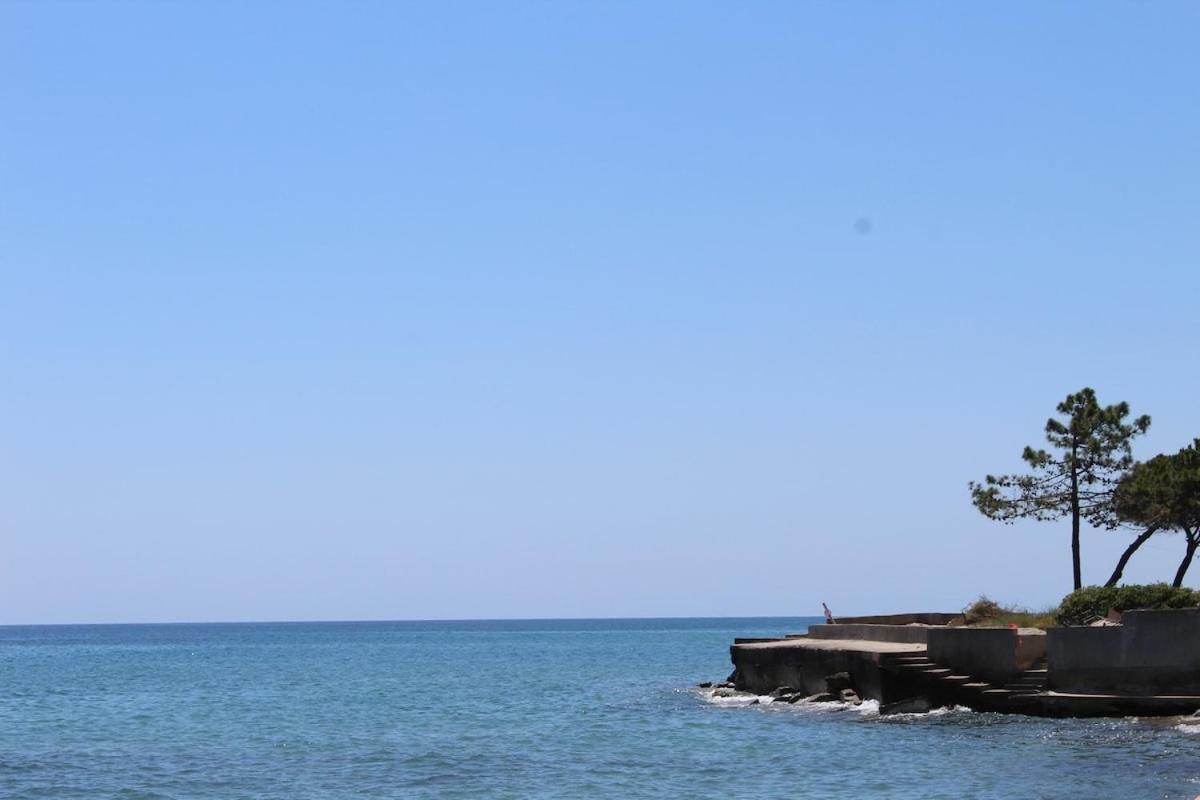 Bord de mer, pieds dans l'eau, vue panoramique Villa San-Nicolao Ngoại thất bức ảnh